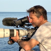 Stephane Vaillant