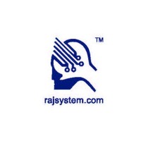 RAJ SYSTEM P LTD