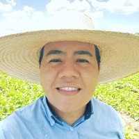 Wilson Stral Júnior