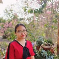 Cong Anh Le Nguyen