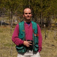 Bruce Harrison