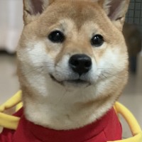 李金荣