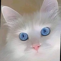 خالد سيريا سايت
