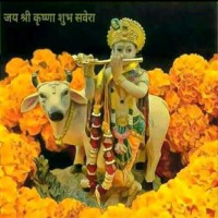 Raju Vishwakarma