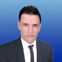 Elsayed Hanafy Ayesh