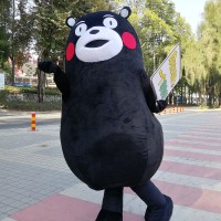 李凯丹