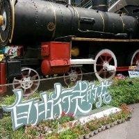 赵志敏