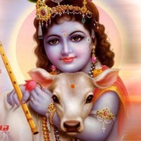 Kalyan Krishna Yadav