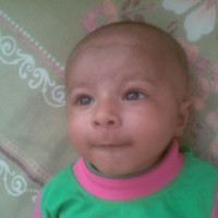 Ali Hasnain Abidi