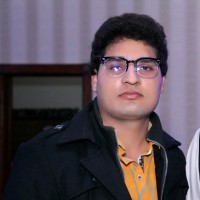 Ch Ansar