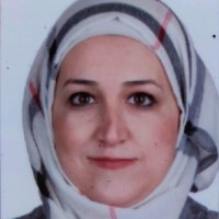 Omran Loutfi