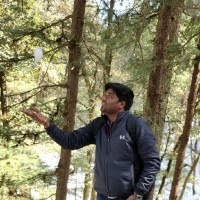 Manveer Singh