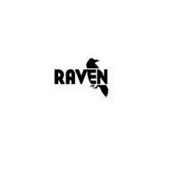 Raven Tools