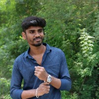 Dharaneesh A N