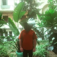 Ibrahim Mohamed
