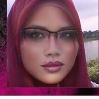 user pemula