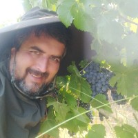Pablo Sepúlveda Collado