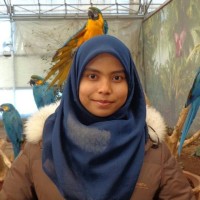 Qurrata Aini Ans