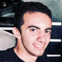 fady nathan