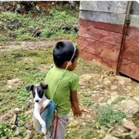 Saul Martín Flores Domingez