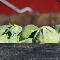 Les Produits Tapp Tapp