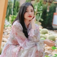 Mỹ Linh Chí