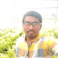 sabbithi avinash