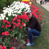 Wen Bin