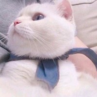 魏傲然