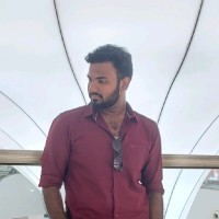Vignesh N