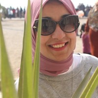 Menna Mounir