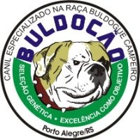 CANIL BULDOCÃO BULDOGUE CAMPEIRO