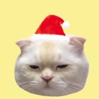 郭思雯