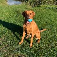 Keith Hallam