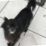 Enedelia Quintanilla