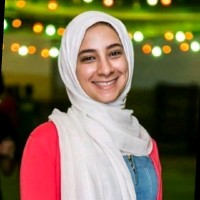 Dina Hussien, M.Sc.