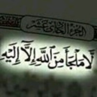 Essam Hamdi