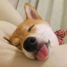 张瀚升