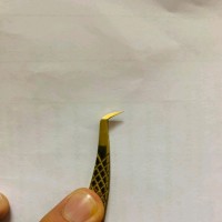 Eye Lash