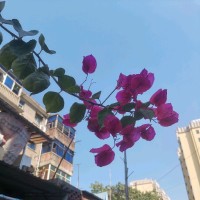 钟永忠