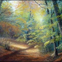 Bev Perry