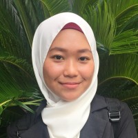 Nik Aini