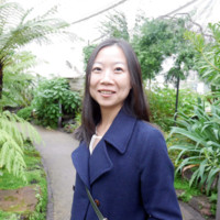 Dr Ying Zheng