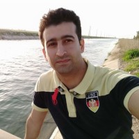 Mohamad Mollaei
