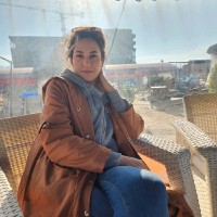 Parisa Mehdigholikhan