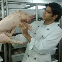 Manish Rawat