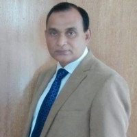 shams mahfuz