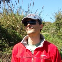 Ricardo Ferreira