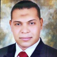 Salah Mohamed Abdelghany