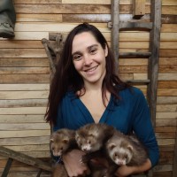 Bérénice Grinda Masson